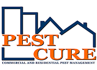 pest cure.png